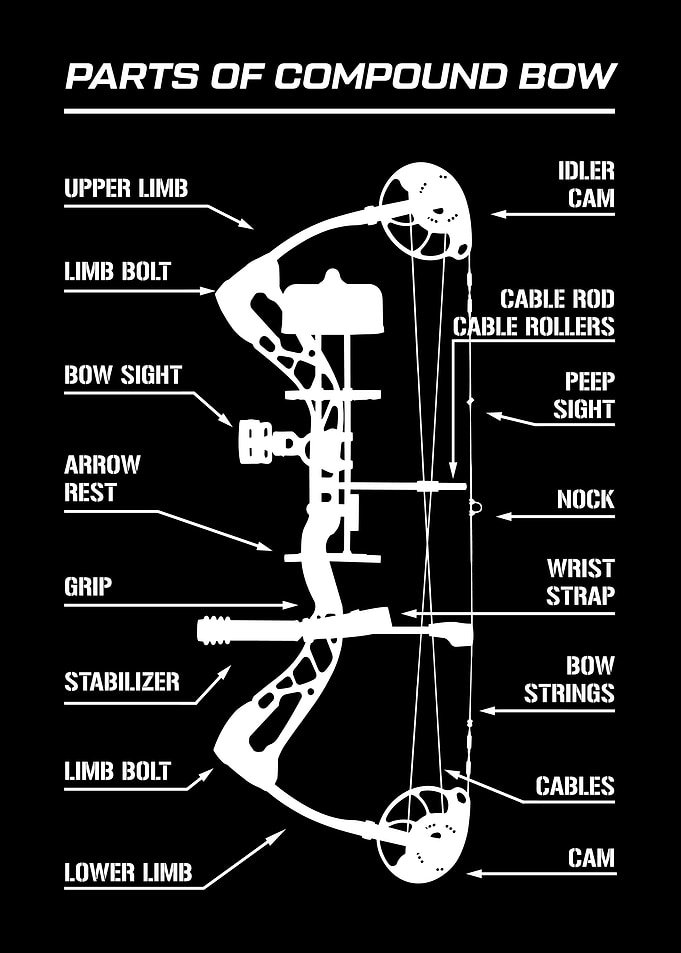 Bow Hunting - Compound Bow Parts Diagram Anatomy - Bow Hunter