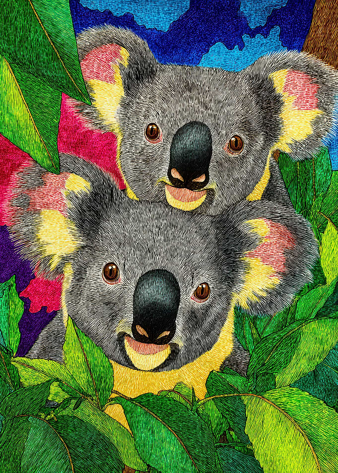 Two Koalas in Colorful Foliage