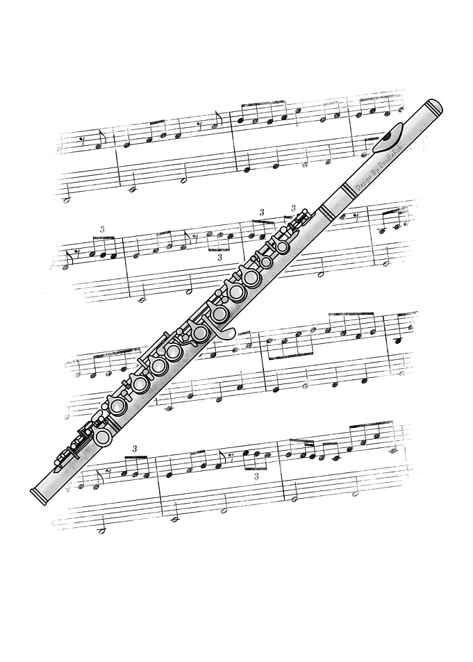 Flute Music Notation Flutist Musician