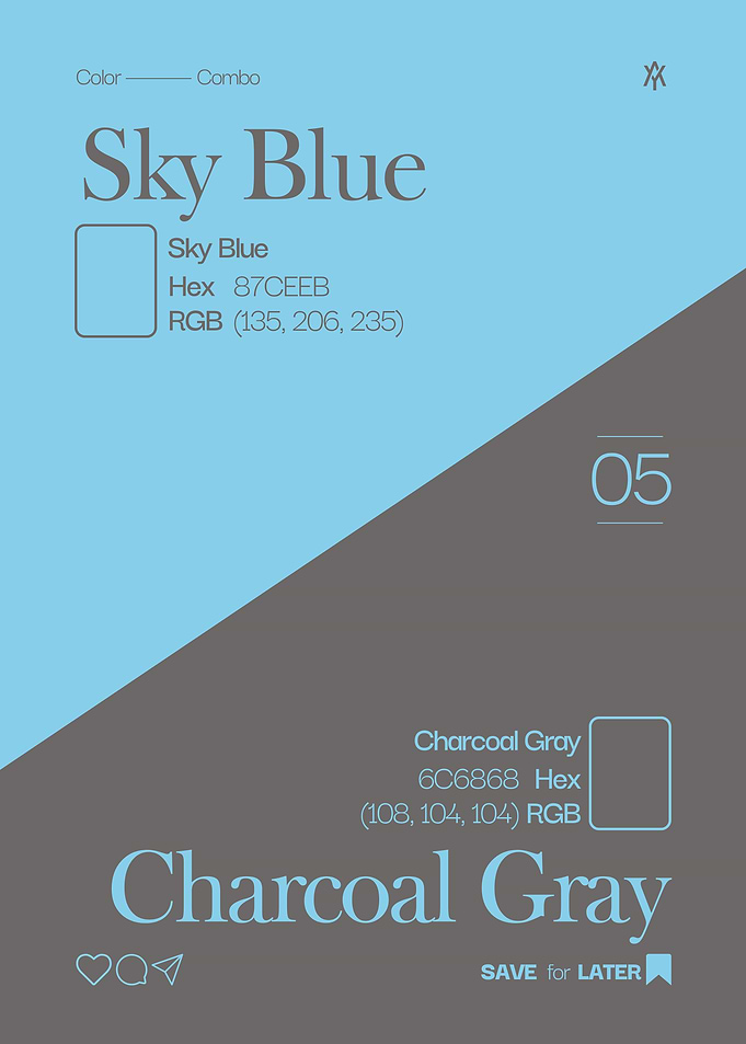 Sky Blue and Charcoal Gray Color Palette