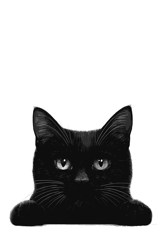 Black Cat Portrait