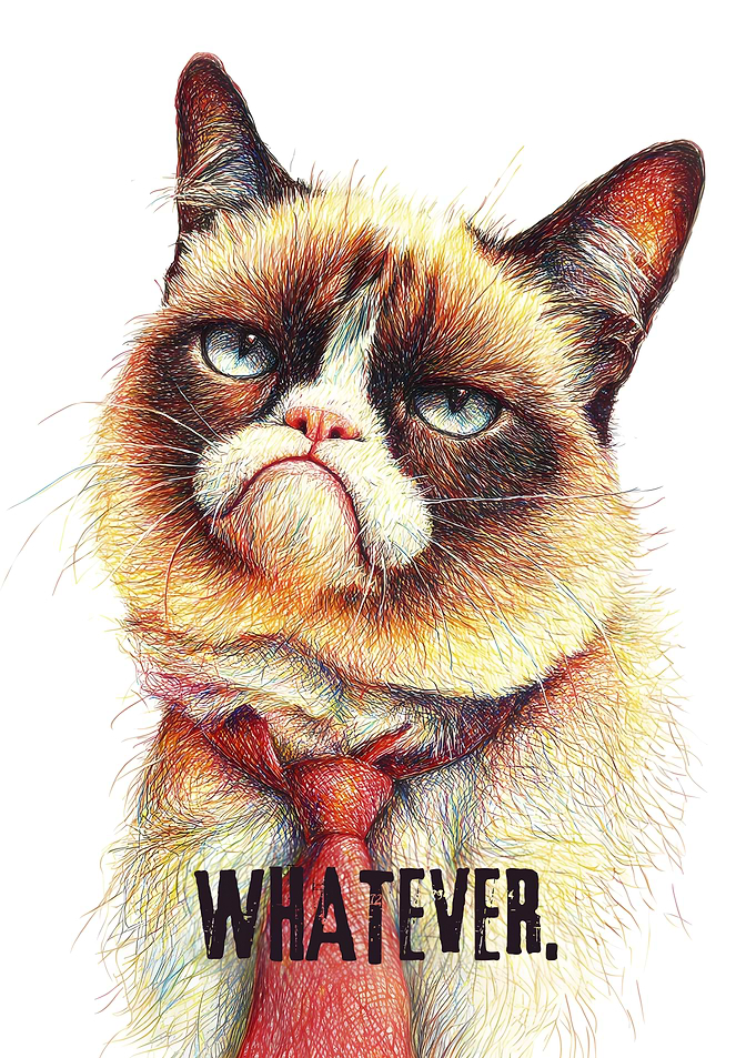 Whatever - Grumpy Ugly Cat With Red Tie