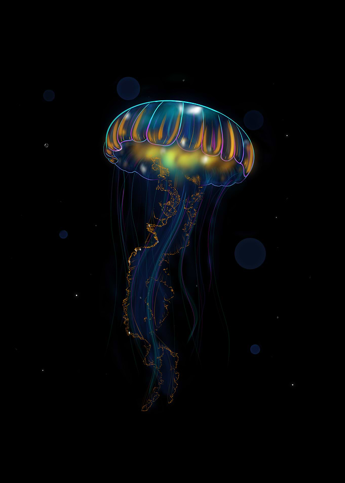 The Luminous Deep