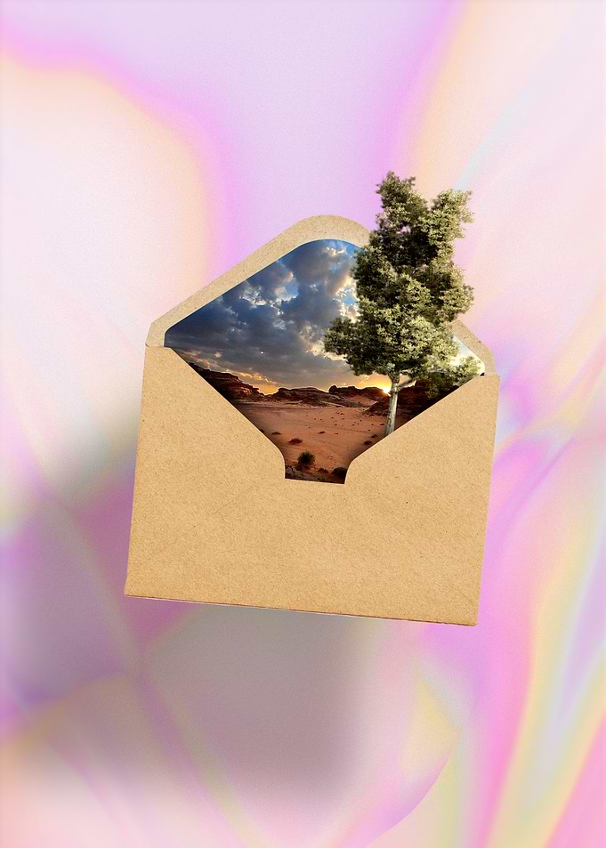 Breaking Envelope Tree: Nature Emerges from a Living Letter