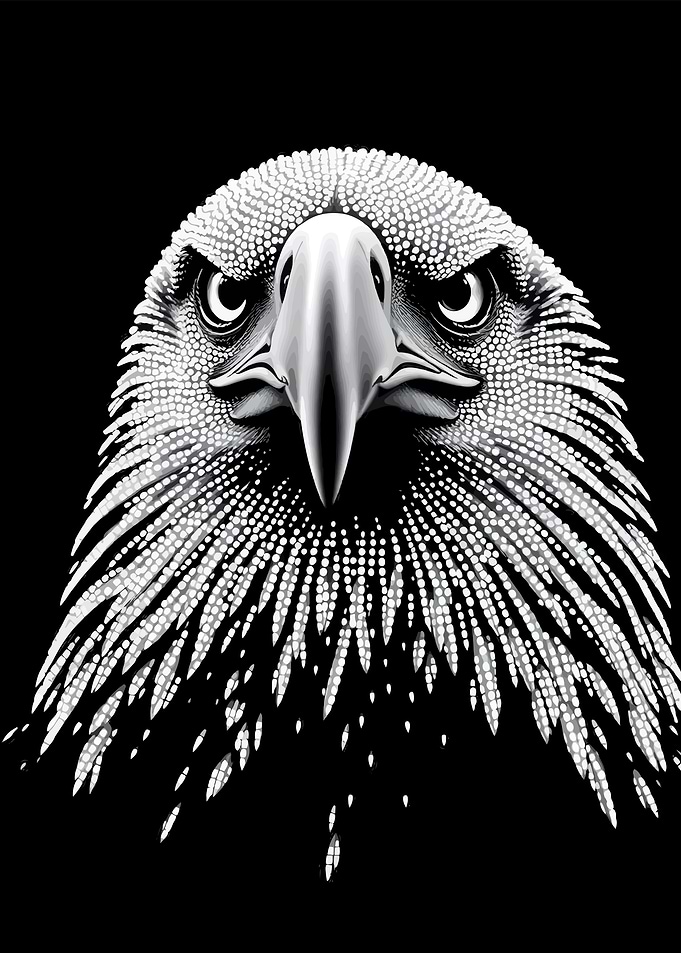 Monochrome Eagle Portrait