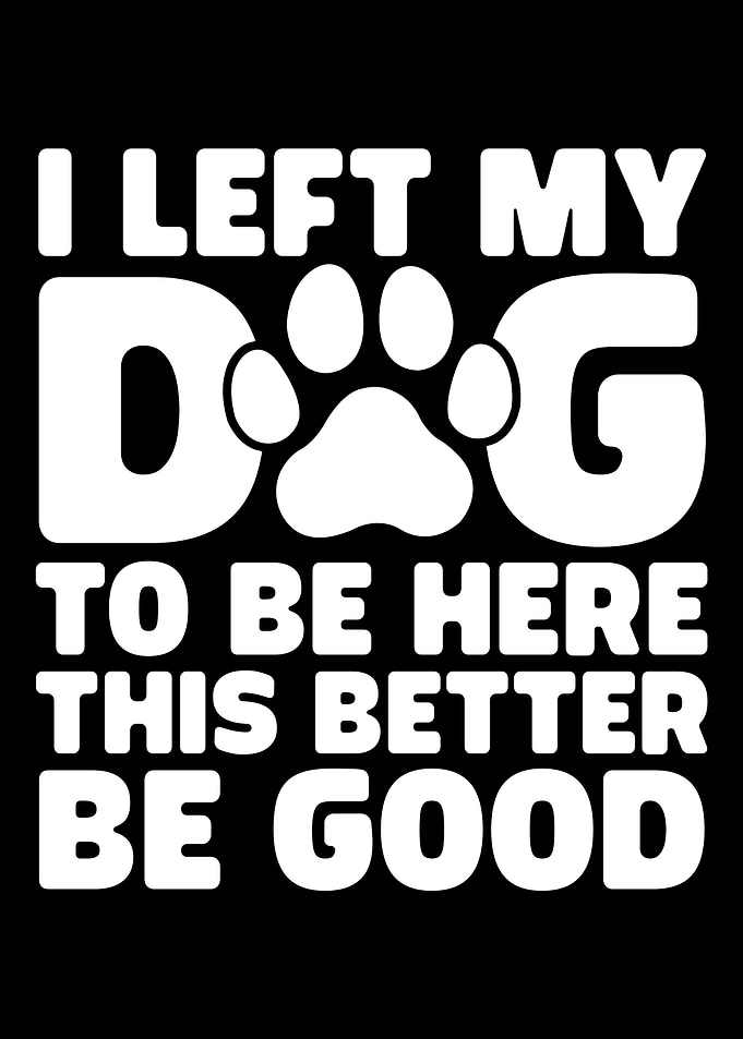 I Left My Dog Here