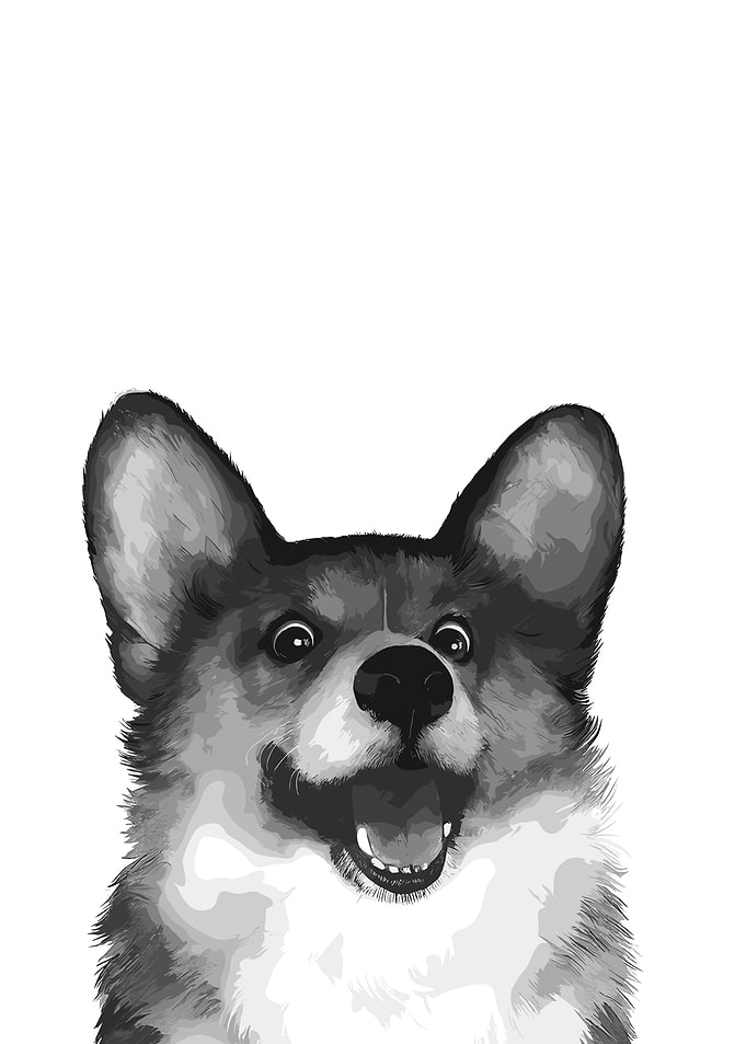 Happy Corgi Portrait