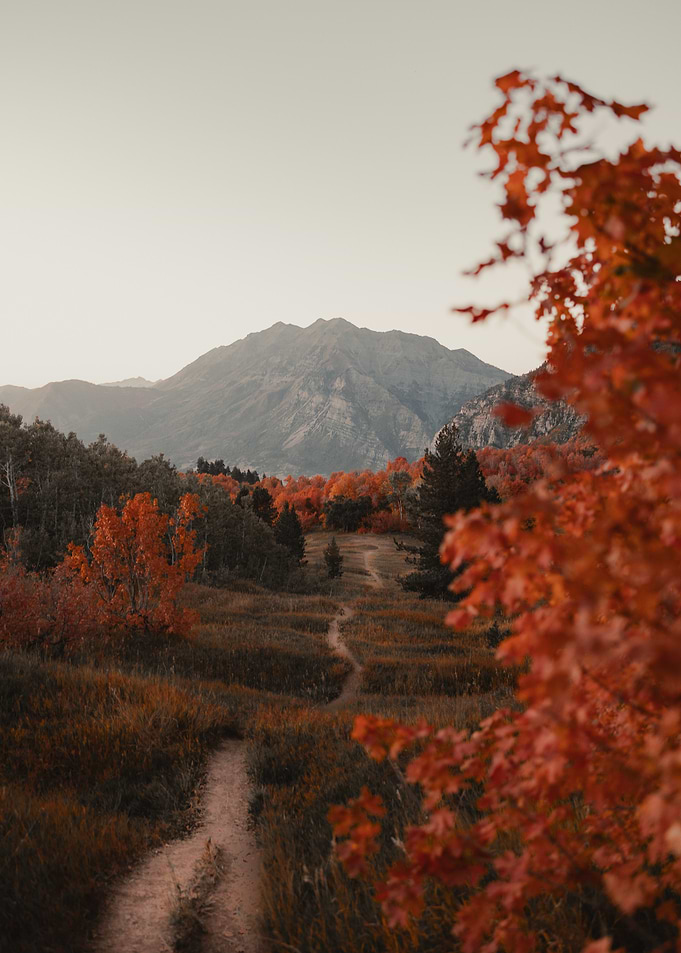 Autumn Mountain Trail Landscape