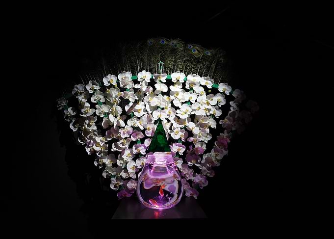 Orchids, Peacock Feathers, and Goldfish Bowl