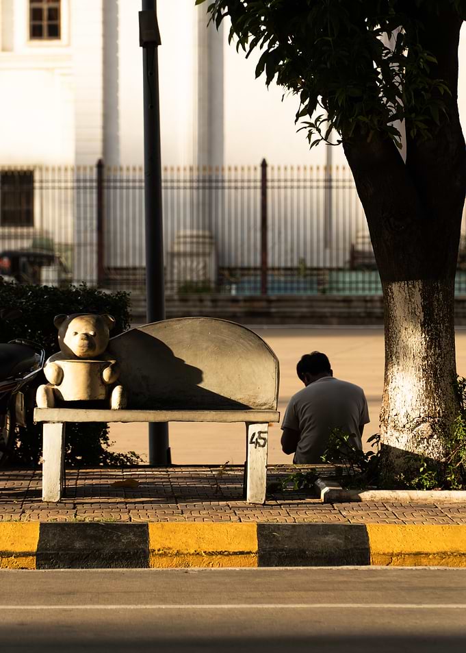 Teddy Bear and Man on Bench