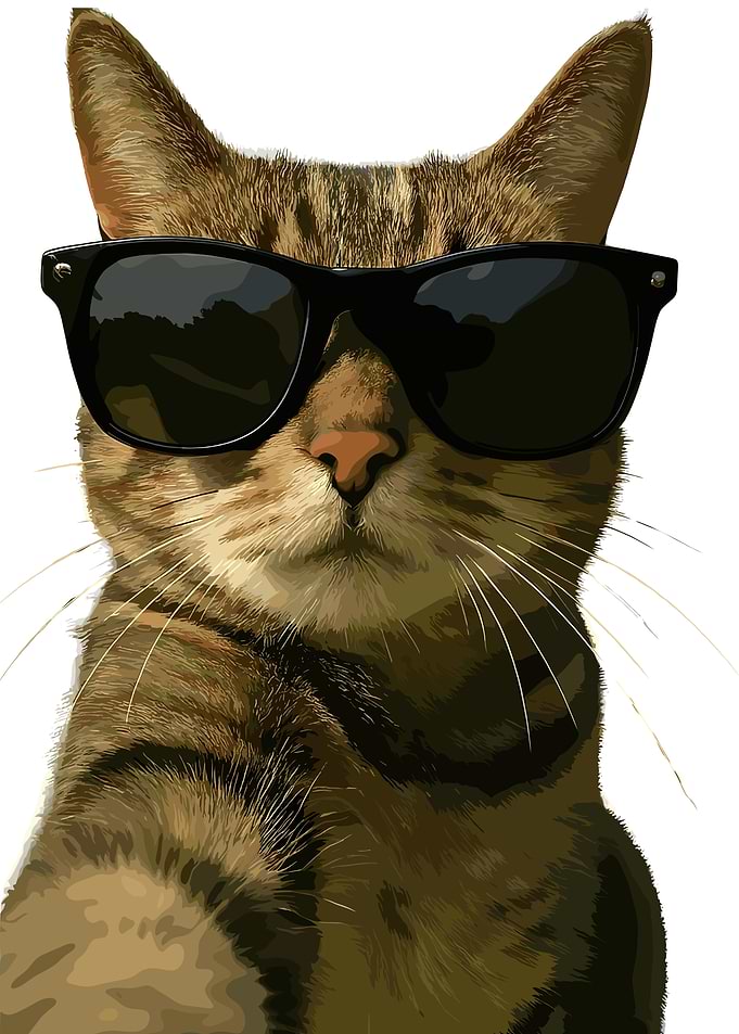 Cool Cat with Sunglasses