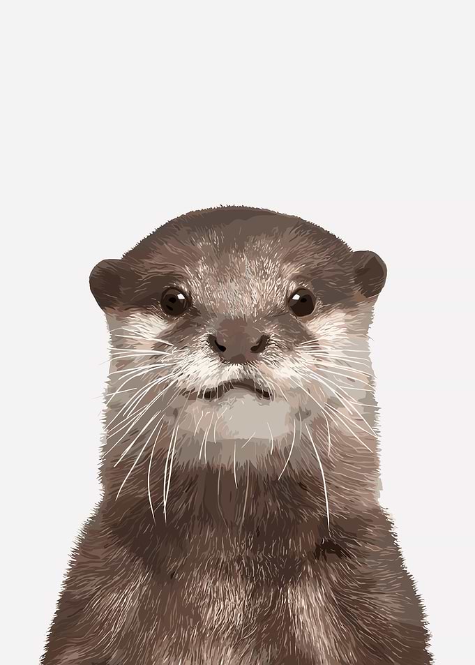 Otter Portrait on White Background