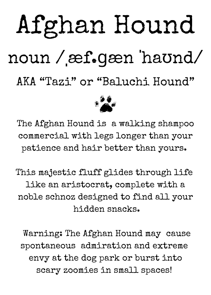Afghan Hound Funny Definition