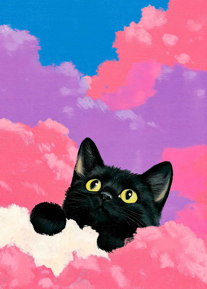 Black Cat in Pink Clouds