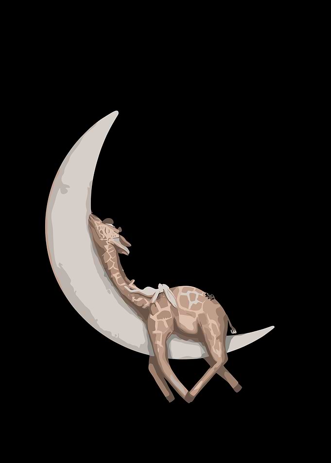 Giraffe on the Moon