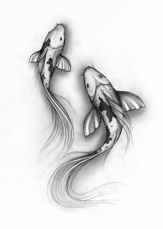 Two Koi Fish Pencil Drawing