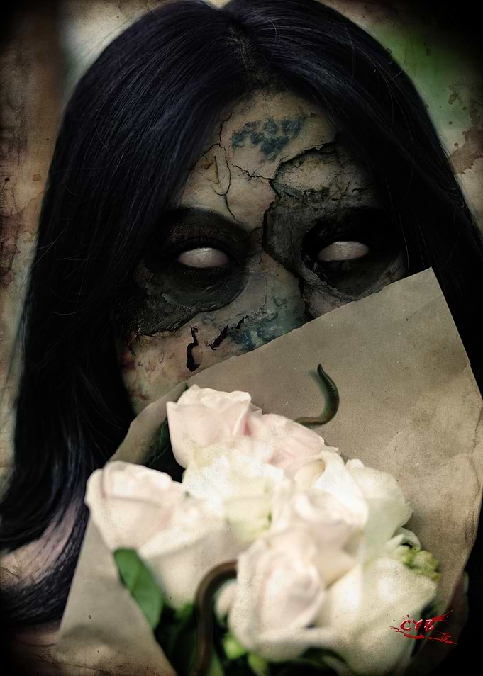 Faded Blossoms