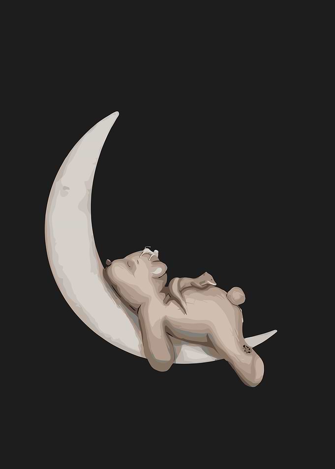 Teddy Bear Sleeping on the Moon