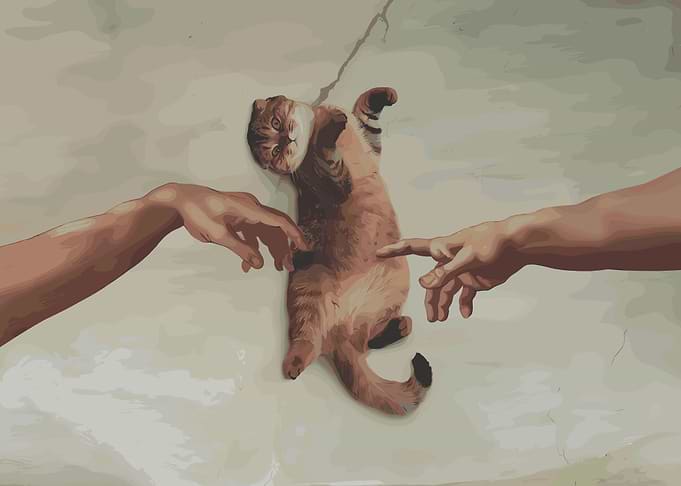 Cat Creation of Adam Parody
