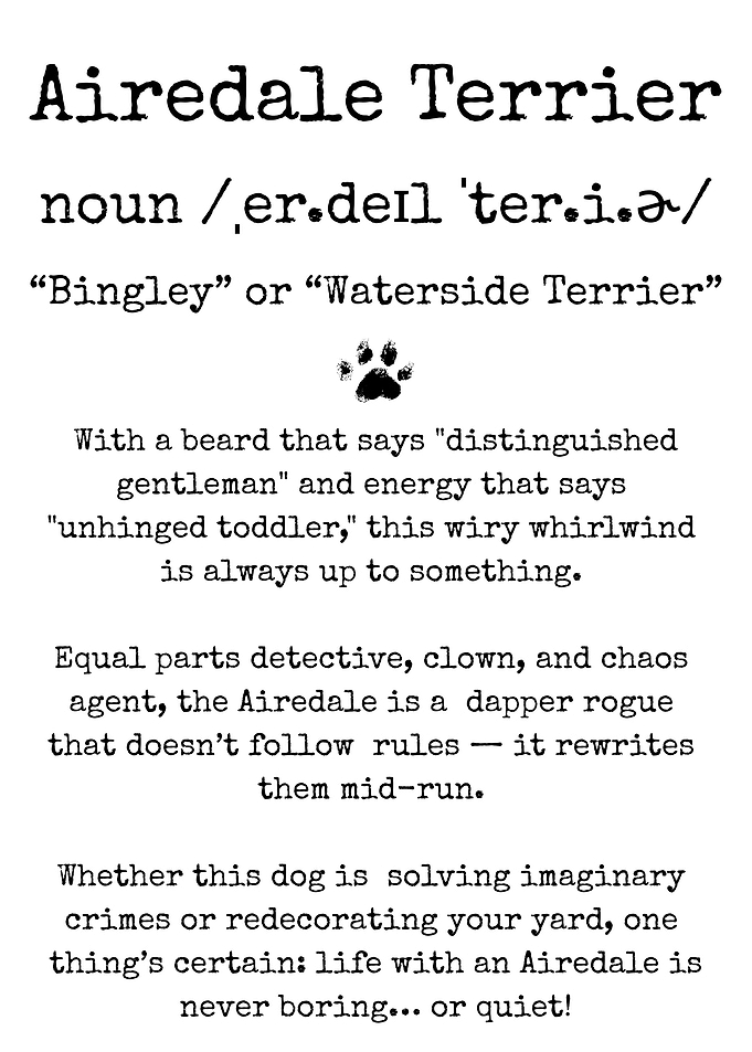 Airedale Terrier Funny Definition Print