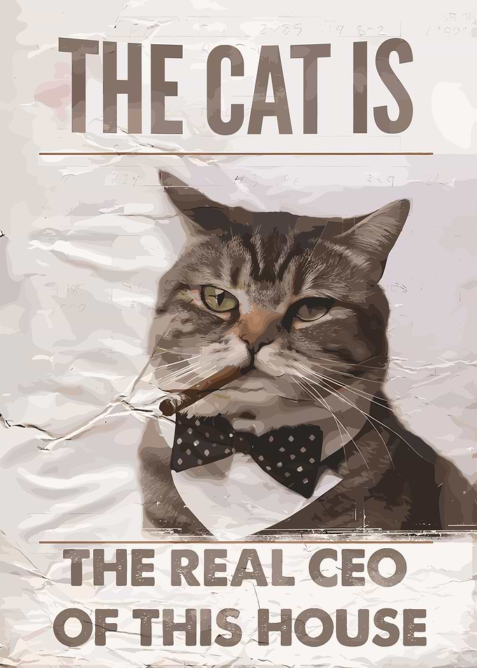 The Cat is the Real CEO