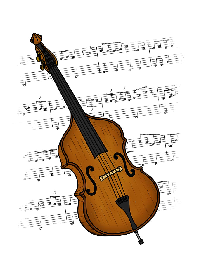 Double Bass Music Notation