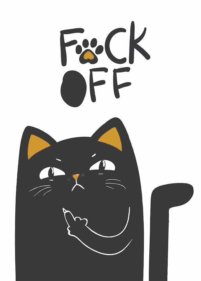 Grumpy Cat with Attitude