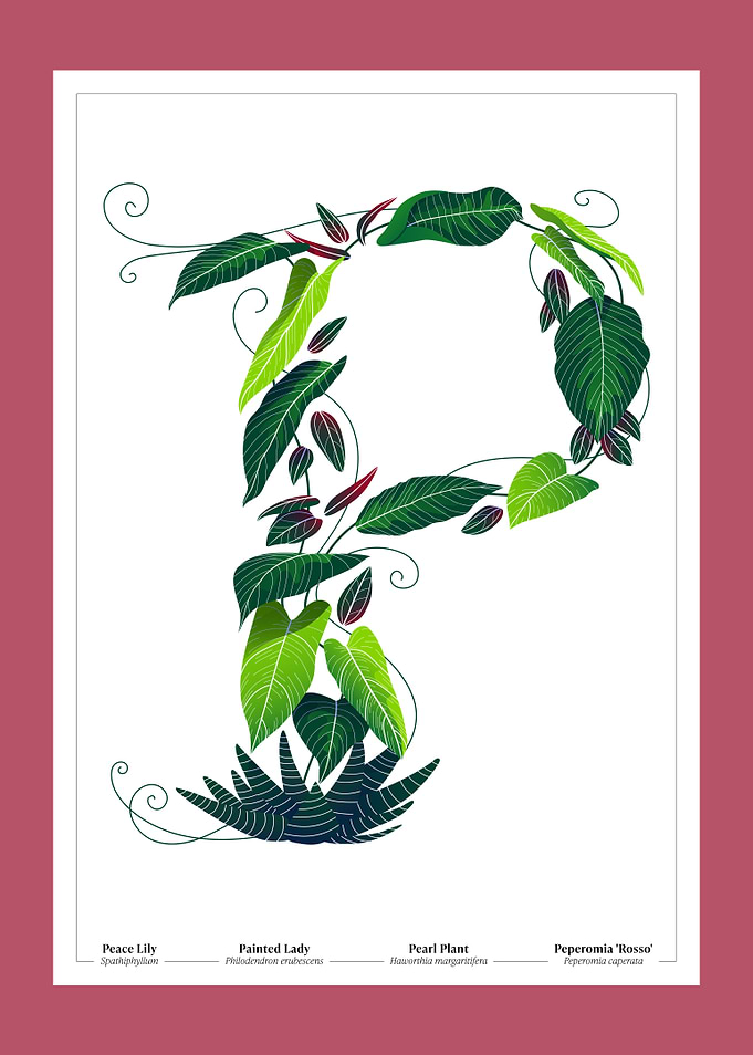 Botanical Illustration of the Letter 'P'