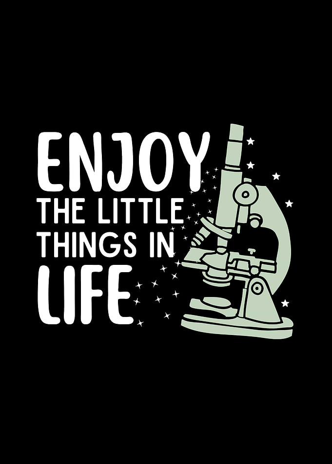 Enjoy the Little Things in Life