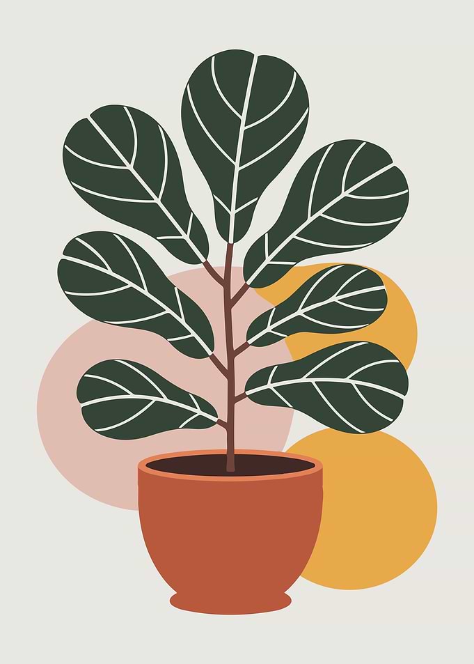 Potted Plant Illustration