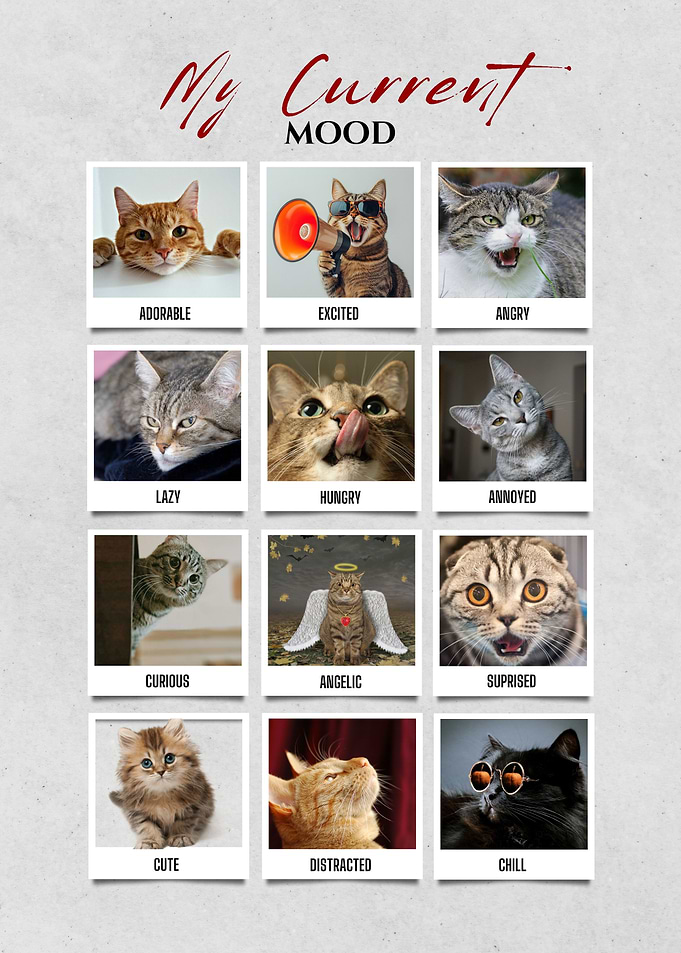 Cats Mood Chart