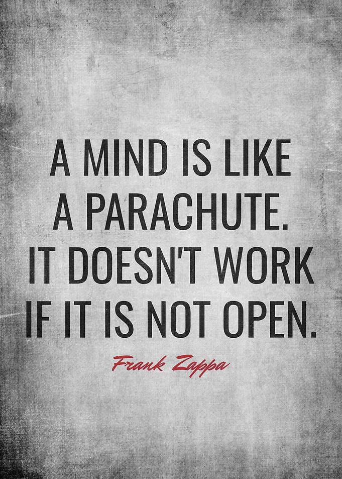 Frank Zappa Quotes