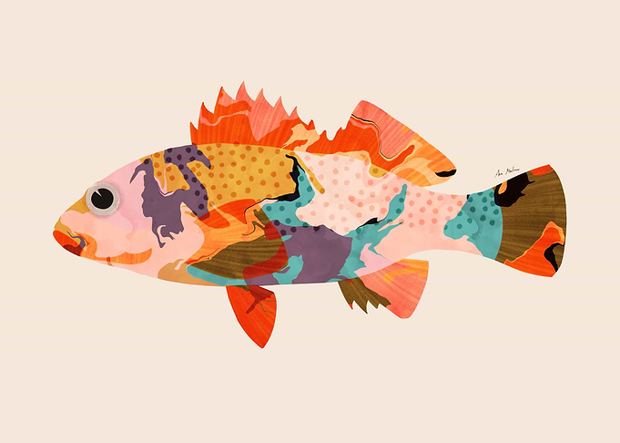 Colorful Fish Illustration