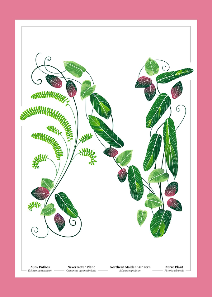 Botanical Illustration of the Letter 'N'