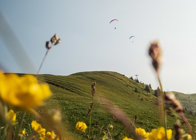 Paragliding over green hill with flowers
