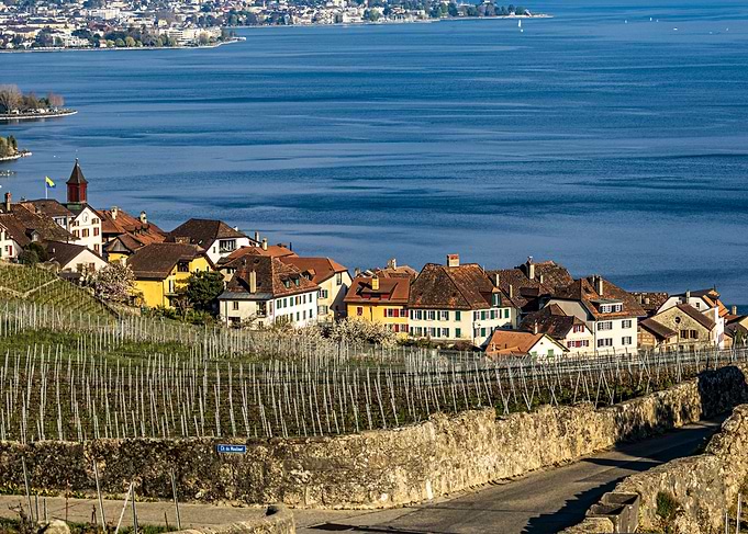 Picturesque Rivaz Village by Lake Leman, Switzerland
