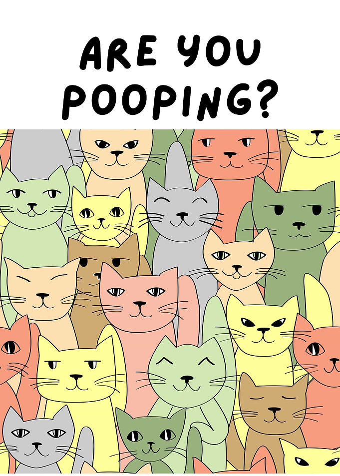 Are You Pooping? Cats Cartoon