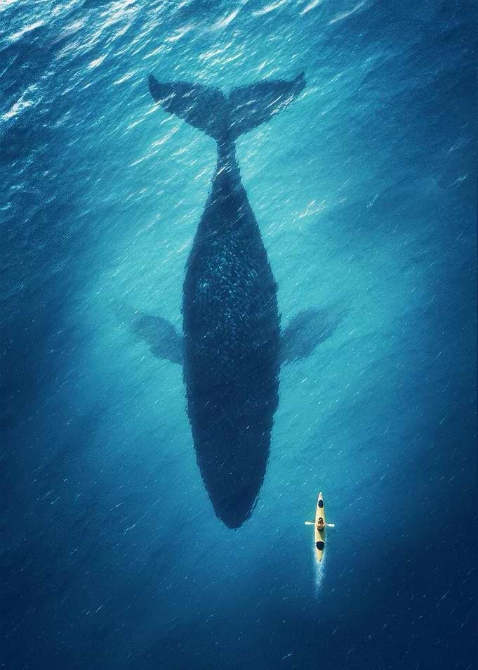 Whale and Kayak Underwater Encounter