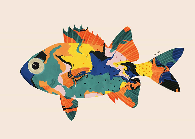 Colorful Abstract Fish Illustration
