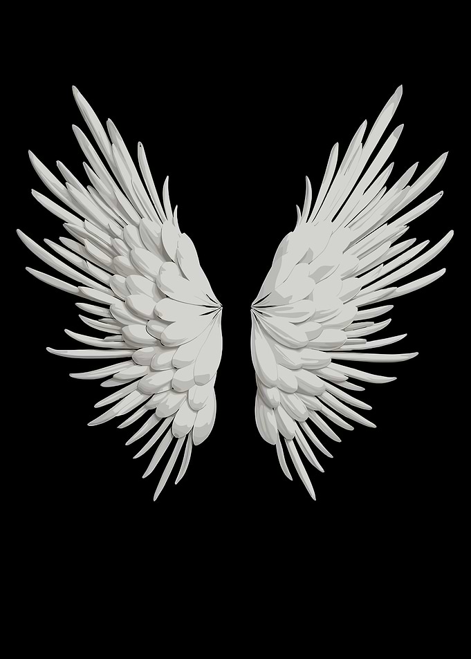 White Angel Wings on Black Background