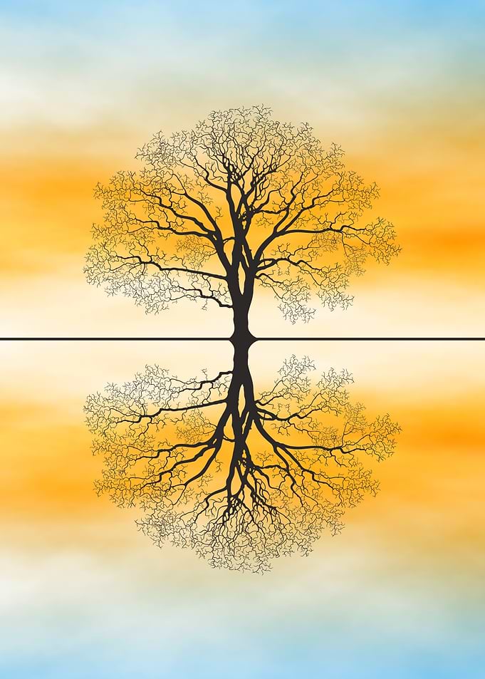 Autumn Tree Silhouette Reflection