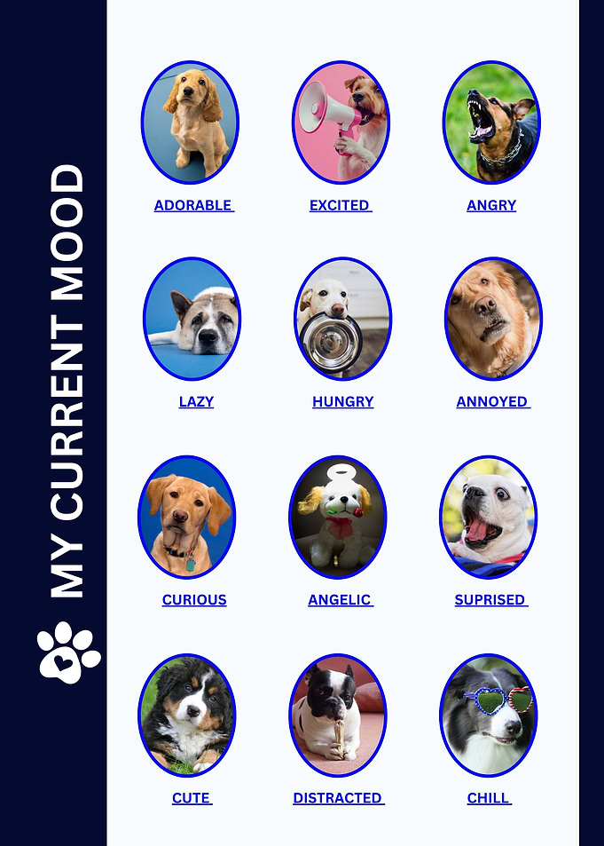 Dogs expressing different moods
