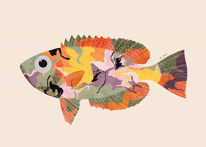 Abstract Fish Illustration