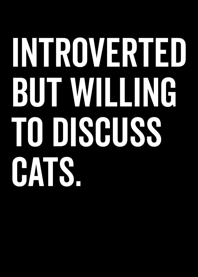 Introverted Cats Discussion Text Art