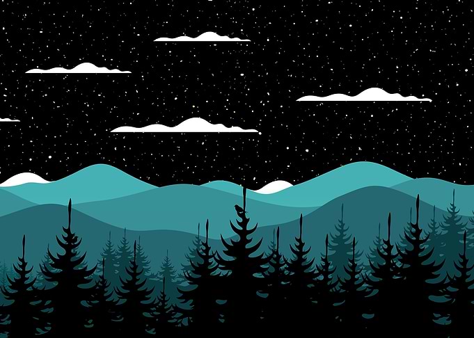 Night landscape with mountains and trees