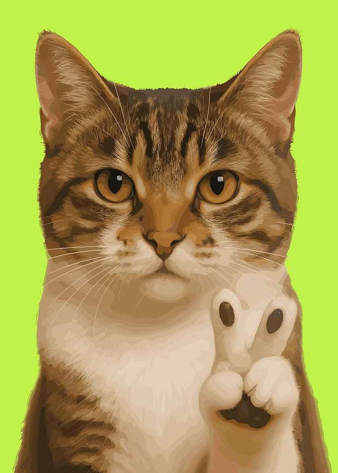 Cat with paw up on green background