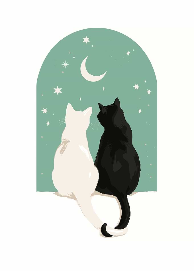 Cats under the moon illustration