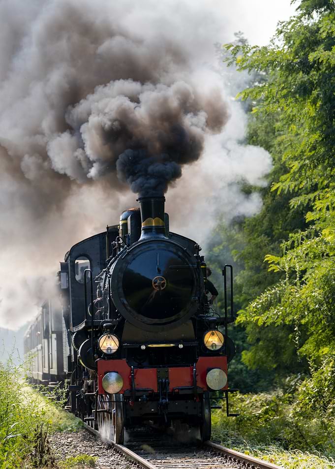 Vintage Steam Train in Nature