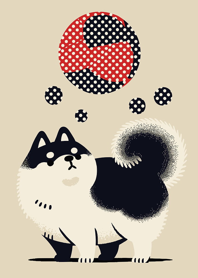 Cute Shiba Inu with Polka