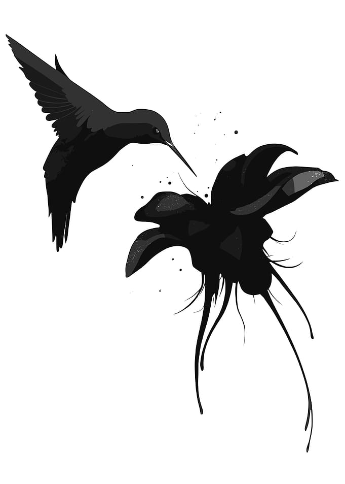 Hummingbird and Flower Silhouette